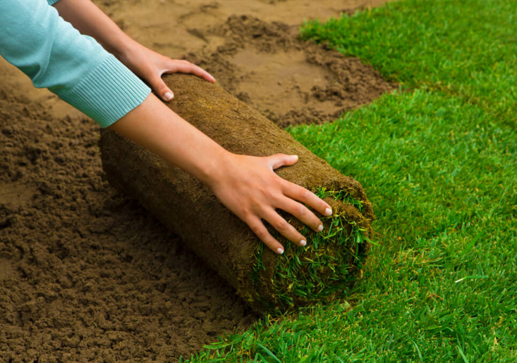 grass installation